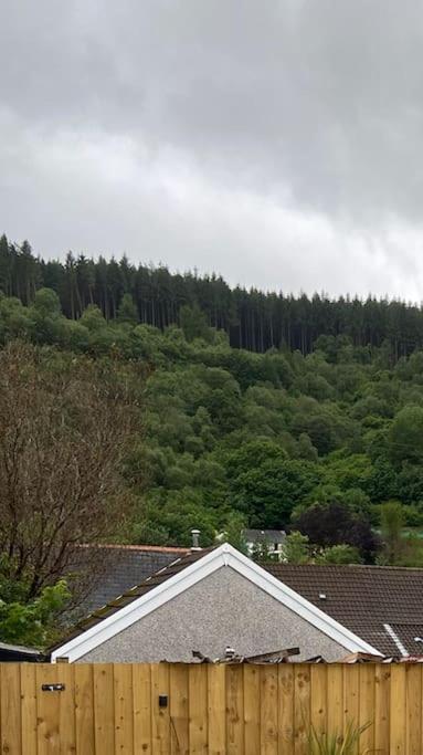Brynhyfryd Cottage Aberaman Εξωτερικό φωτογραφία